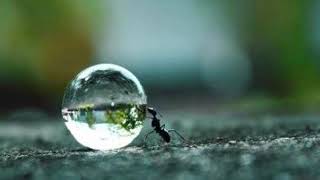 A Prayer (Madeleine Peyroux)