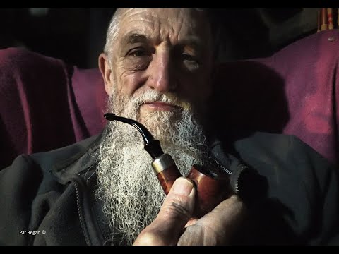 Peterson Nightcap in Standard 301 Smooth Bent Pot