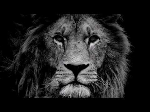 Cifrão - Onde eu quero estar  ♪