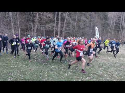 Kolmården Vertical 2017 - Starten