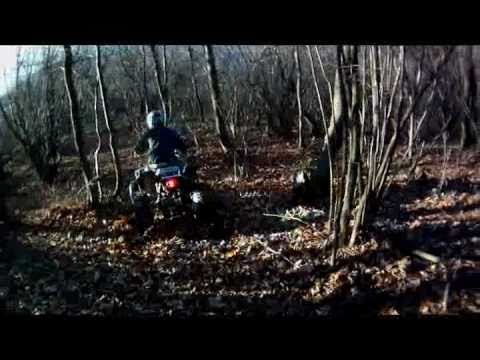 155.DEČKI  ŽUTNICE -14.11.2010.Strahinčica 3