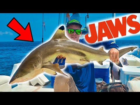 IK VANG EEN HAAI IN AFRIKA!! - VLOG 112