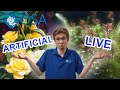 Are Plastic Plants Safe For Aquarium