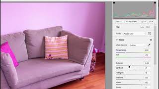 Editing in Camera RAW in Photoshop Elements