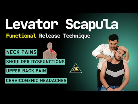 INSTANT FIX FOR YOUR UPPER BACK PAIN POSTURE PAIN IMPROVE YOUR BACK POSTURE