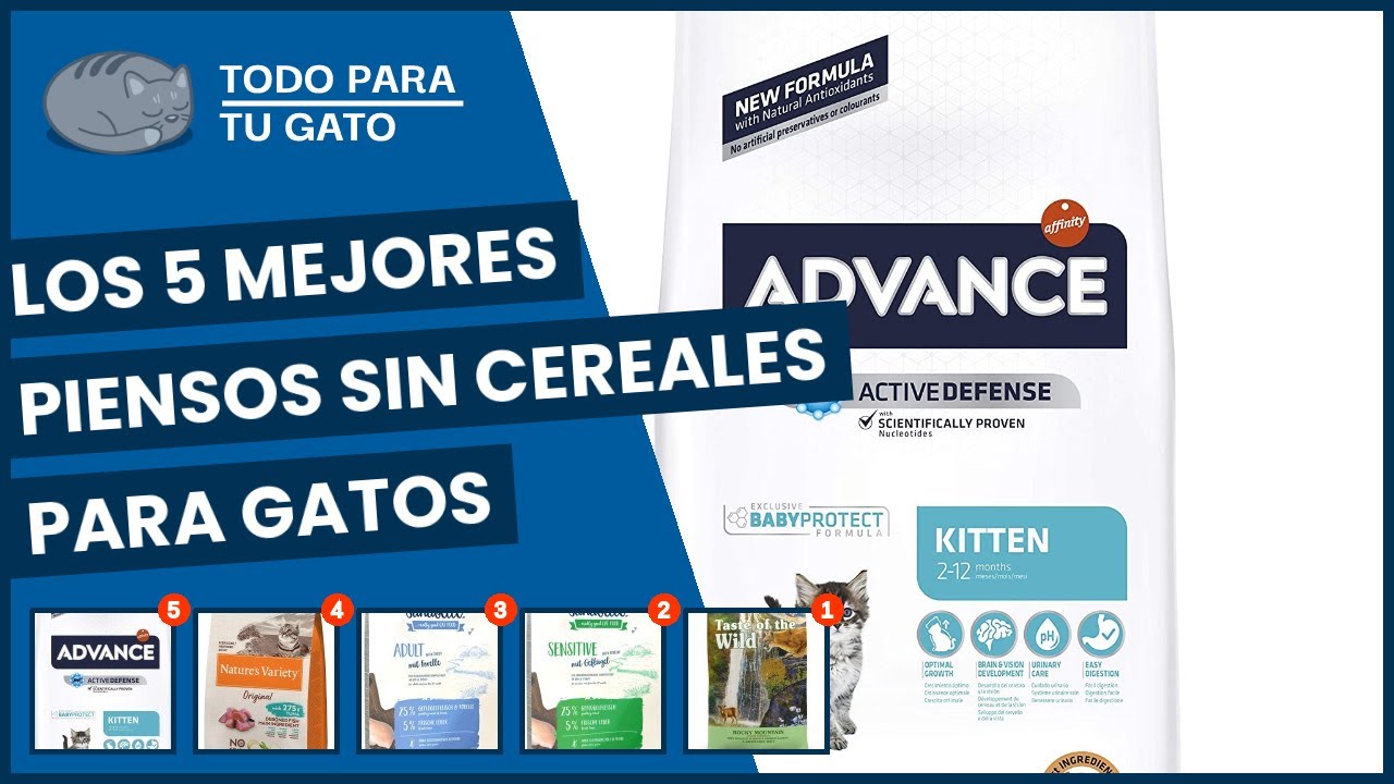 Los 5 mejores piensos sin cereales para gatos