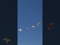 Gujarat Makar Sankranti कच्छ गुजरात Gujarat Makarsankranti Shorts Festival