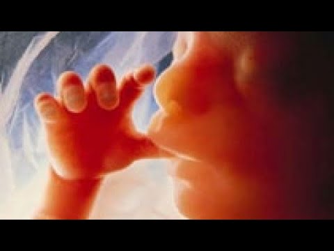 Nëse një grua aborton, a do të takohet me fëmijën e saj të abortuar në botën tjetër?