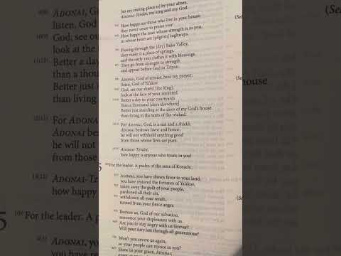 Psalms (Tehillim) 85 | Tanakh/Old Testament | Audio Bible | CJB | Complete Jewish Bible