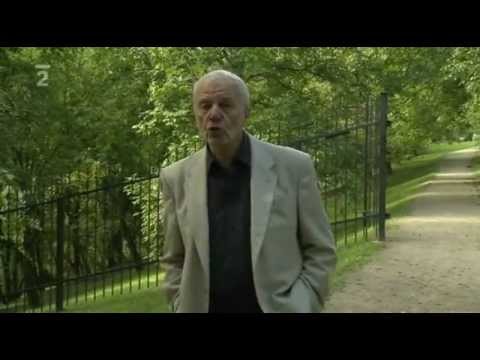 Metuzalém - moudrost