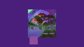 Can't Find The Words