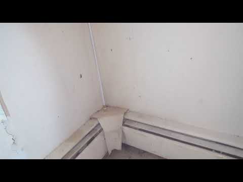 Cockroach Chaos in Ocean Township, NJ