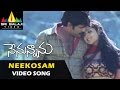 Nenunnanu Songs Neekosam Neekosam Video Song Nagarjuna Aarti Aggarwal Sri Balaji Video