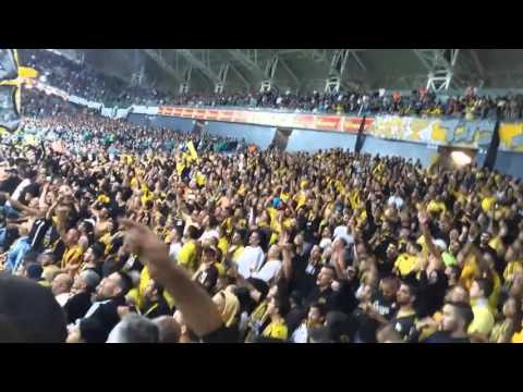 כל הקופים למצוץ