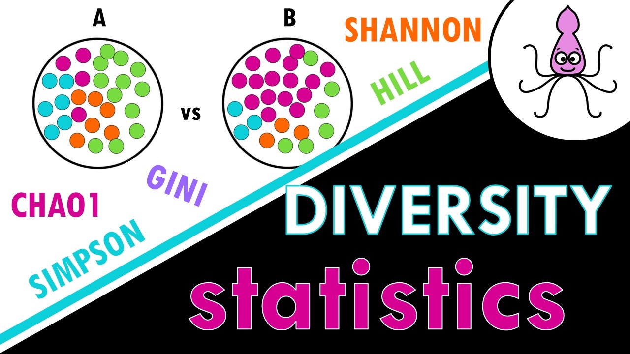 Diversity metrics easily explained: Shannon, Simpson, Gini, Chao1 and Hill numbers!