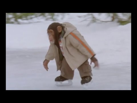 MVP Most Valuable Primate - Skating Chimp tage!