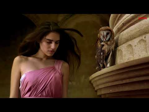 Омар Хайям афоризмы и цитаты Video