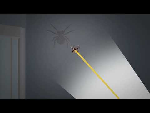 Educational Video Animation