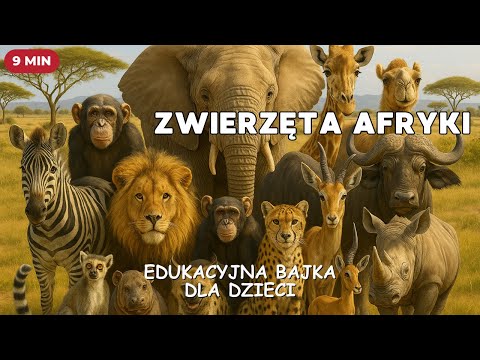 Odgłosy zwierząt Afryki 🦁🐘🦓 | Edukacyjny filmik dla dzieci!