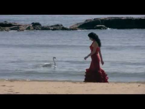 "El Sur Sabe a Flamenco". trailer Quinto ( 5 )