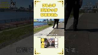ららぽーとで子供に大人気なワンコ🐶  #shorts   #frenchie  #vlog  #犬のいる暮らし #フレブル