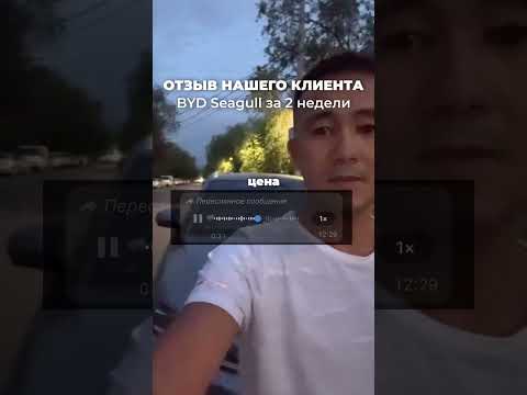 Видео-отзыв клиента — BYD Seagull