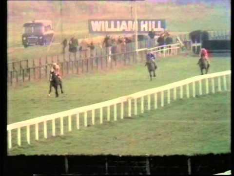 1973 Scilly Isles Beginners' Chase