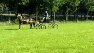 preview picture of video 'At last driving hackney horse William in FULL VIEW 1'