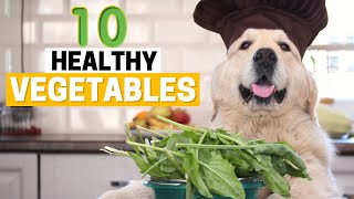 10 Vegetables Safe and Healthy for Golden Retrievers