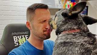 VLOG update on the "Ex", project area, studio updates, ETC..