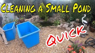 Quick Visual Guide: Draining and Cleaning Your Small Garden Pond
