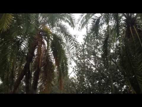 Death of Saul Theology Project