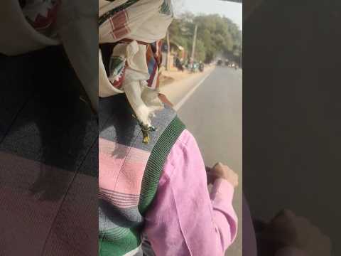 Toto vs Train Race Dangerous 🔥🤯🤔🔥🔥