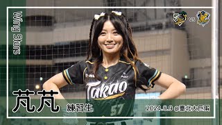 【台湾チア】芃芃 | Wing Stars練習生 | 陳文杰 應援曲 + 局間活動 [中文歌詞]