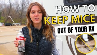 Keep Mice Out of Your RV This Winter