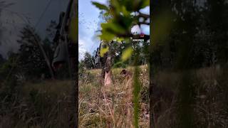 Beute als Jagderfolg ist ein prägendes Merkmal unseres Tuns. #jagd