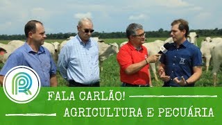 Miniatura do vídeo
