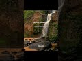 Wishes Ft Talwiinder I Lyrics ️