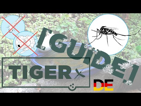 Tigermücken Prävention - Vogelbad [TIGER Guide]