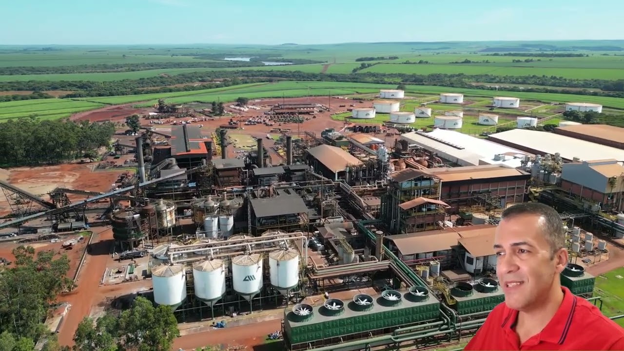 MAIOR FABRICANTE DE AÇÚCAR DO MUNDO Usina Alta Mogiana