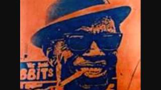 LIGHTNIN&#39; HOPKINS ~Devil Is Watching You
