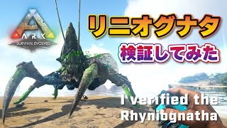 【Ark】最後の新生物リニオグナタ検証してみた　I verified the last new organism, Rhyniognatha.