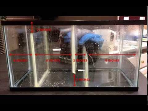 DIY Freshwater Filtration Sump Tank