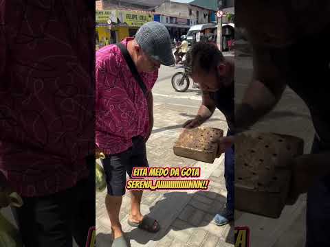 É uma cobra🐍 e um gato🐈 😎