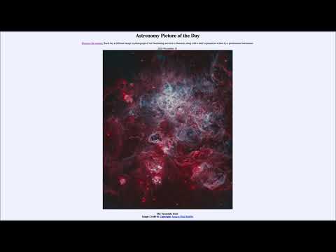 2020 November 13 - The Tarantula Zone