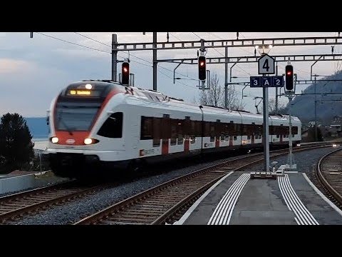 SBB Flirts in Arth-Goldau