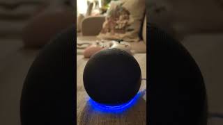Alexa puede leer tu mente!!!