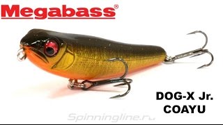Воблер megabass dog x jr. coayu