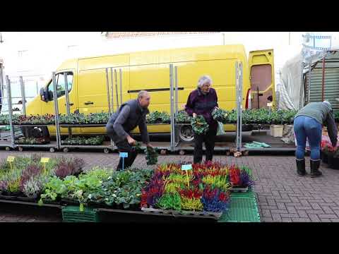 Long Sutton Friday Market  Promotional Film, Lincolnshire