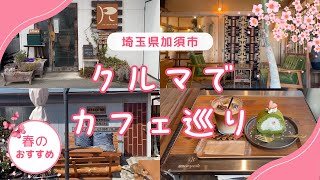 【加須市カフェ巡り】春ドライブで行きたいおしゃれカフェ3選！